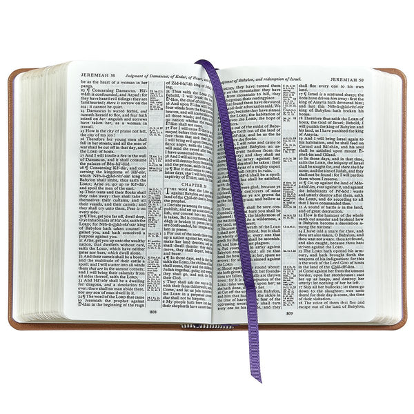 Leather Holy Bible