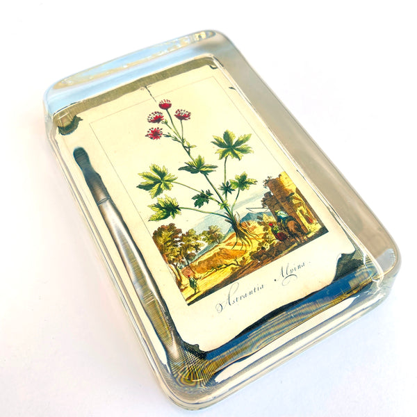 John Derian Rectangular Paperweight – Astrantra