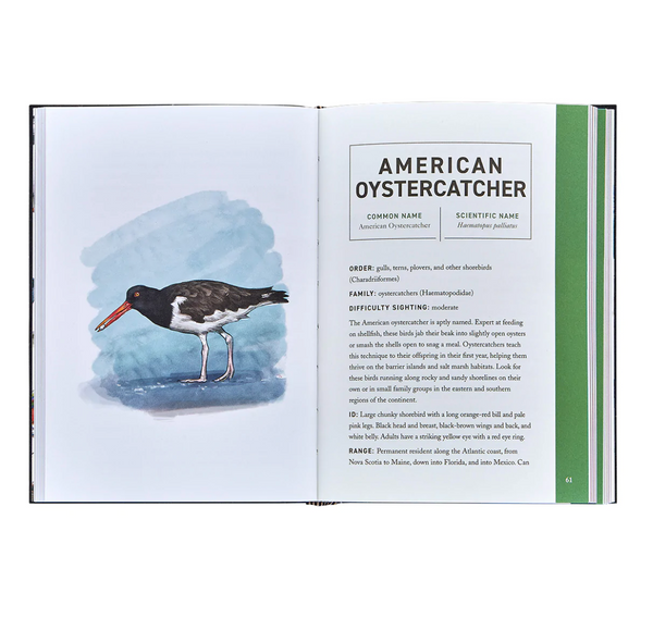 Birds – Leather Bound Book
