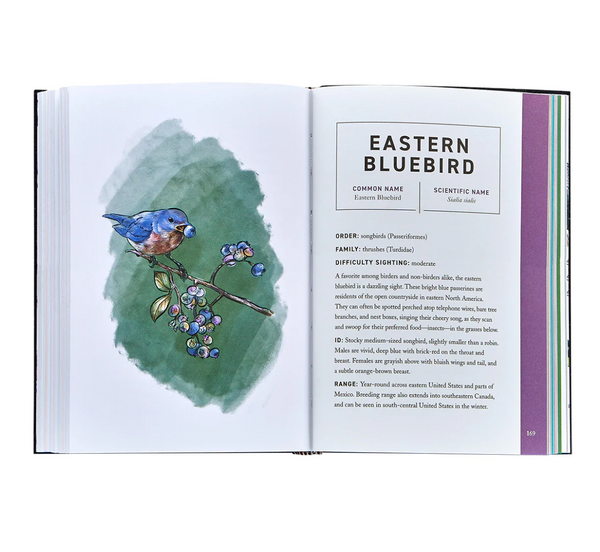 Birds – Leather Bound Book