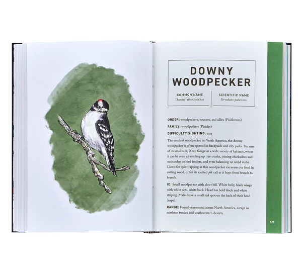 Birds – Leather Bound Book